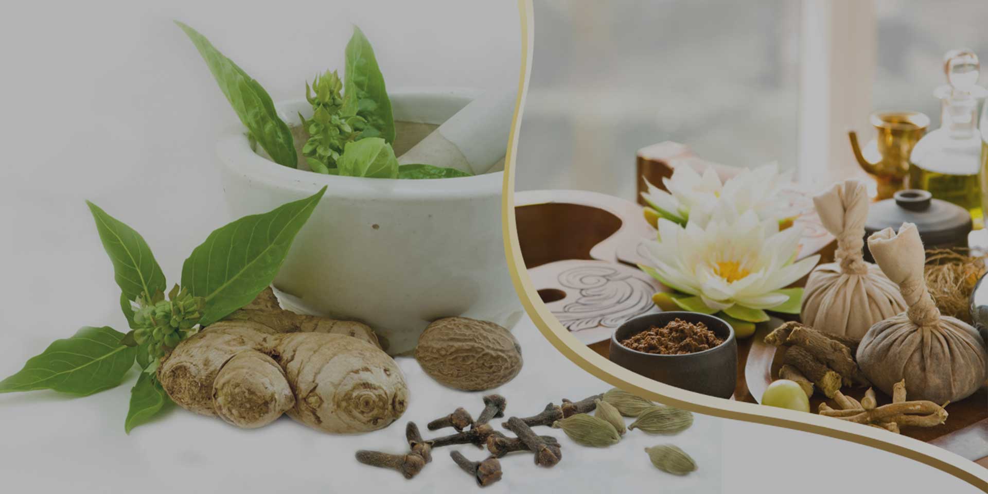 Nature Care Ayurveda